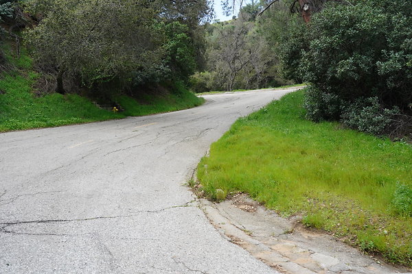 mt-hollywood-dr-2024-298