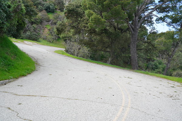 mt-hollywood-dr-2024-351