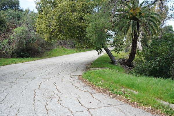 mt-hollywood-dr-2024-310