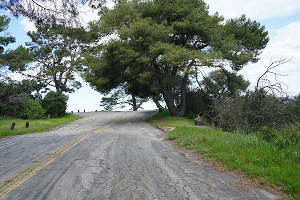 mt-hollywood-dr-2024-355