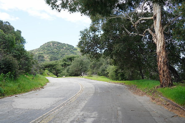 mt-hollywood-dr-2024-345
