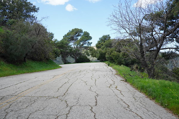 mt-hollywood-dr-2024-316