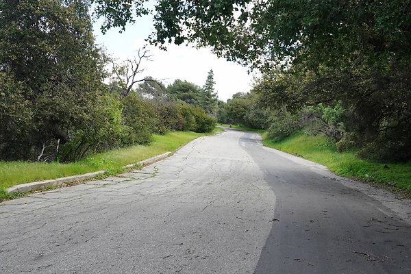 mt-hollywood-dr-2024-342