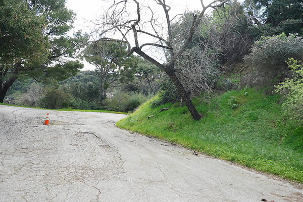mt-hollywood-dr-2024-361