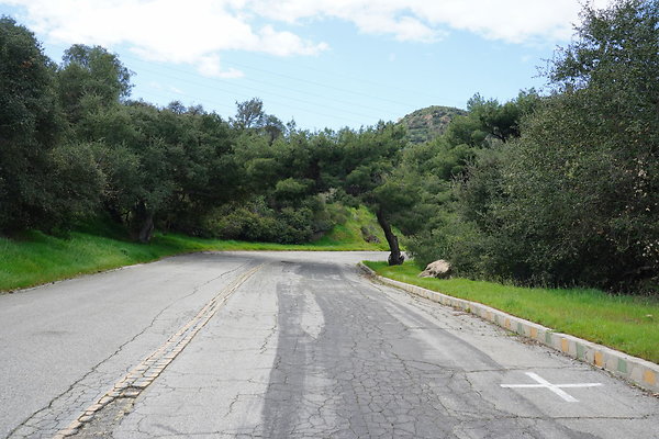 mt-hollywood-dr-2024-346