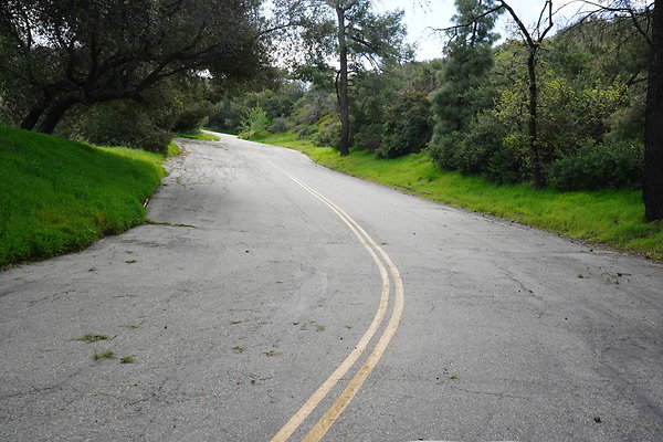 mt-hollywood-dr-2024-358
