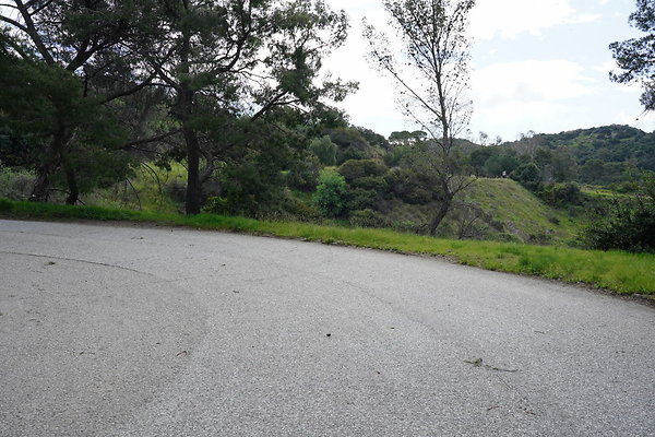 mt-hollywood-dr-2024-323