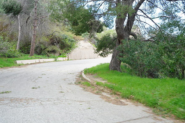 mt-hollywood-dr-2024-307