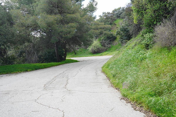 mt-hollywood-dr-2024-360
