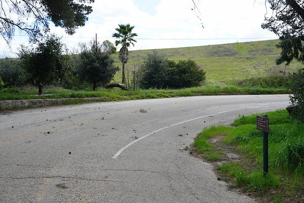 mt-hollywood-dr-2024-330