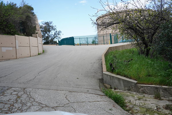 mt-hollywood-dr-2024-308