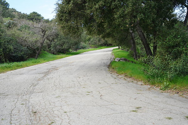 mt-hollywood-dr-2024-349