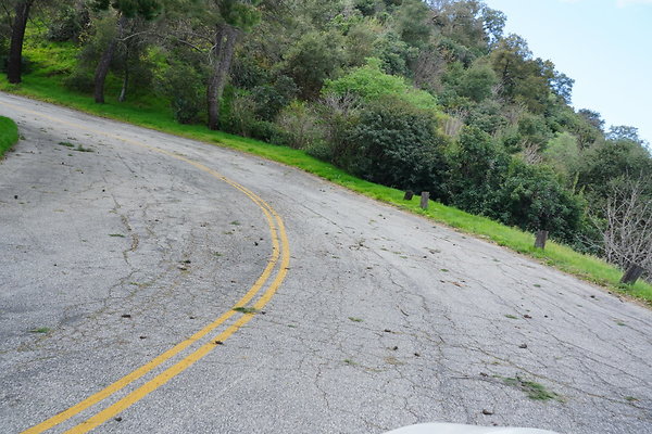 mt-hollywood-dr-2024-357