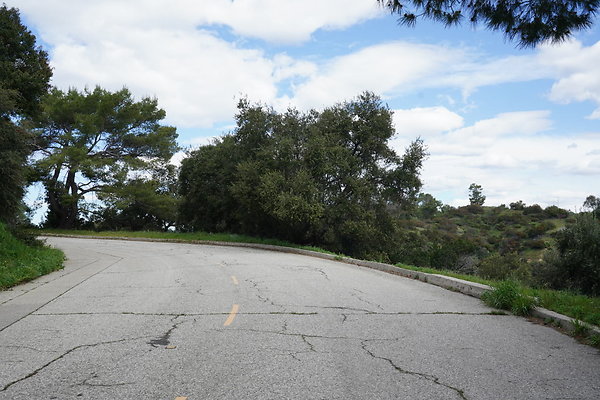 mt-hollywood-dr-2024-301