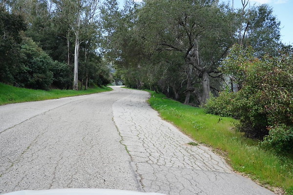 mt-hollywood-dr-2024-314