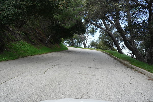 mt-hollywood-dr-2024-303