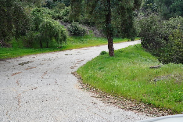mt-hollywood-dr-2024-326
