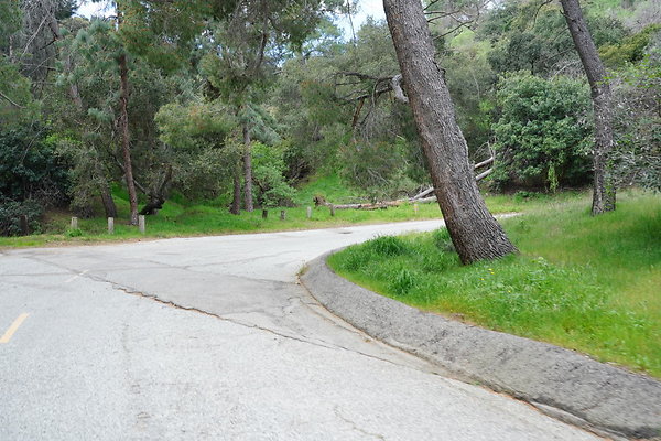 mt-hollywood-dr-2024-299