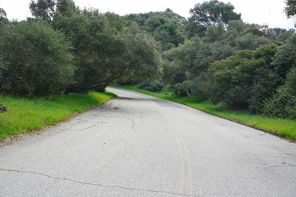 mt-hollywood-dr-2024-341