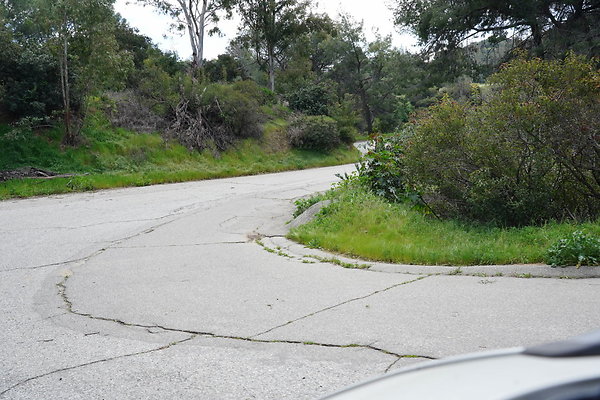 mt-hollywood-dr-2024-321