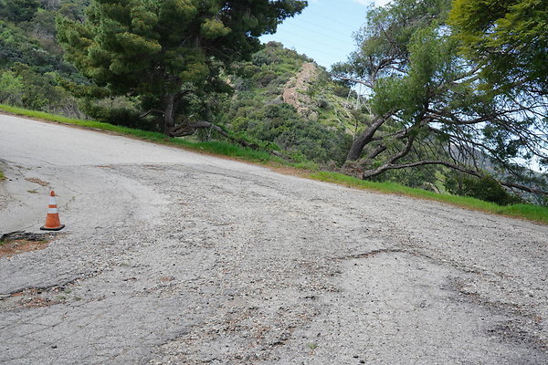 mt-hollywood-dr-2024-340