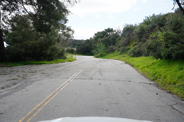 mt-hollywood-dr-2024-359