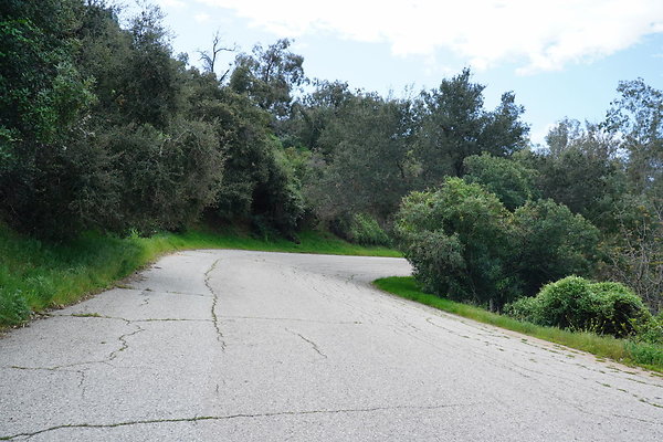 mt-hollywood-dr-2024-313