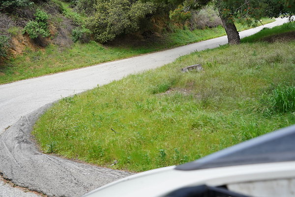 mt-hollywood-dr-2024-300