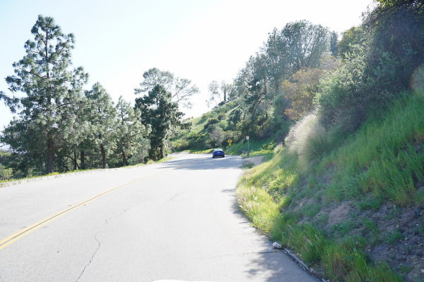 PCO00699
