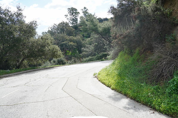mt-hollywood-dr-2024-454