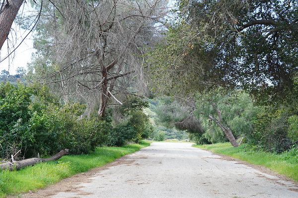 mt-hollywood-dr-2024-424