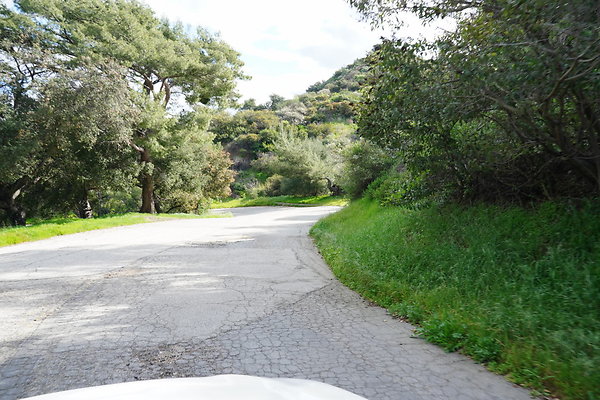 mt-hollywood-dr-2024-389