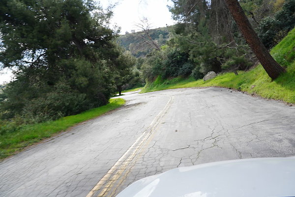 mt-hollywood-dr-2024-381
