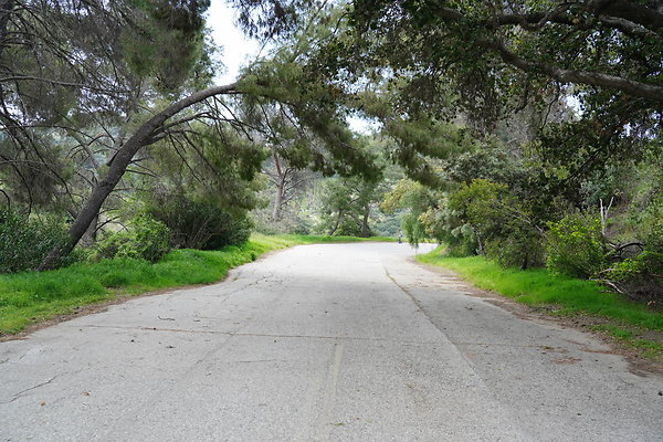 mt-hollywood-dr-2024-435