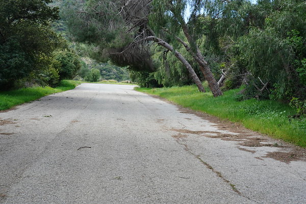 mt-hollywood-dr-2024-425