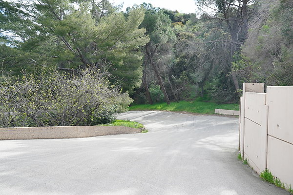 mt-hollywood-dr-2024-449