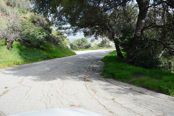 mt-hollywood-dr-2024-372