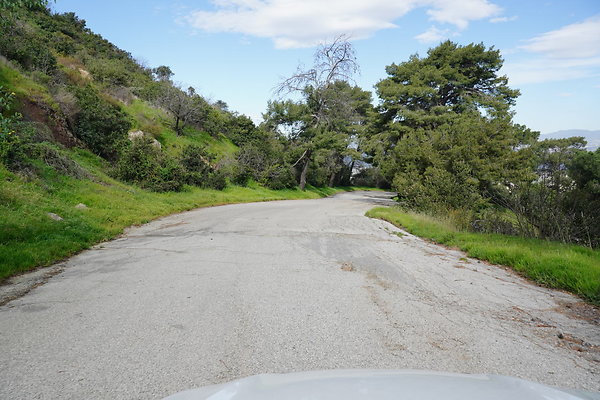 mt-hollywood-dr-2024-374