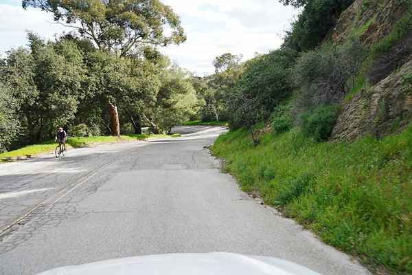 mt-hollywood-dr-2024-397