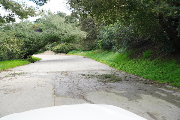 mt-hollywood-dr-2024-411