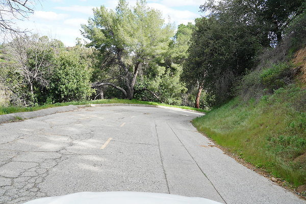 mt-hollywood-dr-2024-459