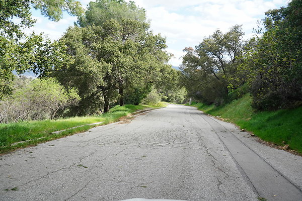 mt-hollywood-dr-2024-450
