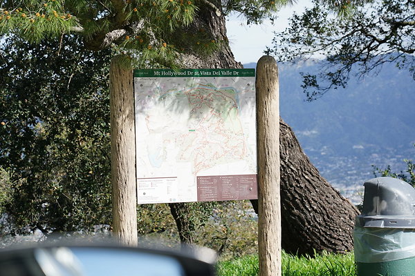 mt-hollywood-dr-2024-364