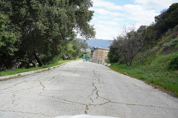 mt-hollywood-dr-2024-448