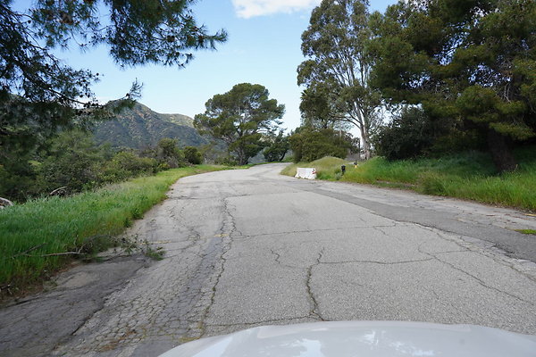 mt-hollywood-dr-2024-415