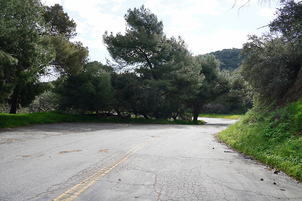 mt-hollywood-dr-2024-382