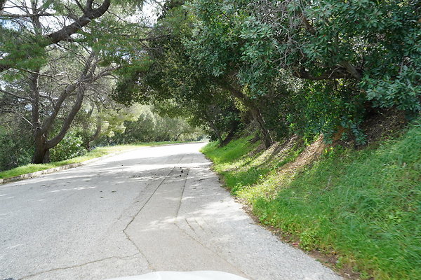 mt-hollywood-dr-2024-453
