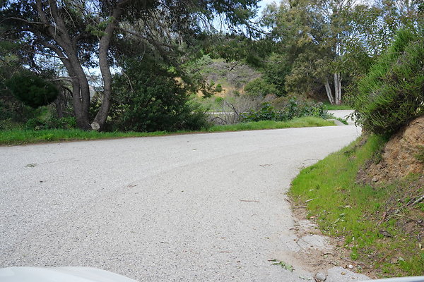 mt-hollywood-dr-2024-437