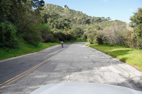 mt-hollywood-dr-2024-404