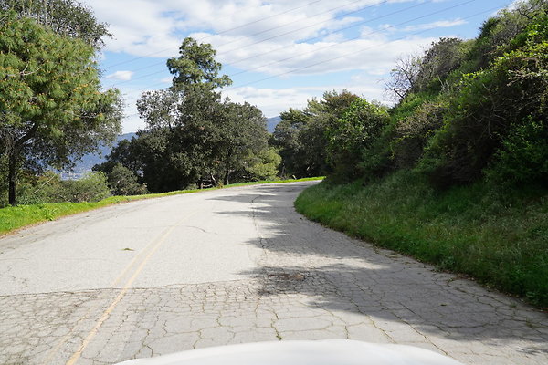 mt-hollywood-dr-2024-388